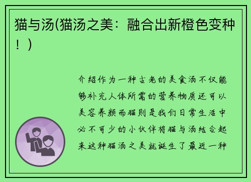 猫与汤(猫汤之美：融合出新橙色变种！)
